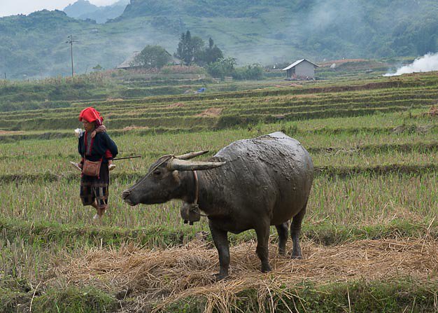 DSC-235808-Vietnam17.jpg