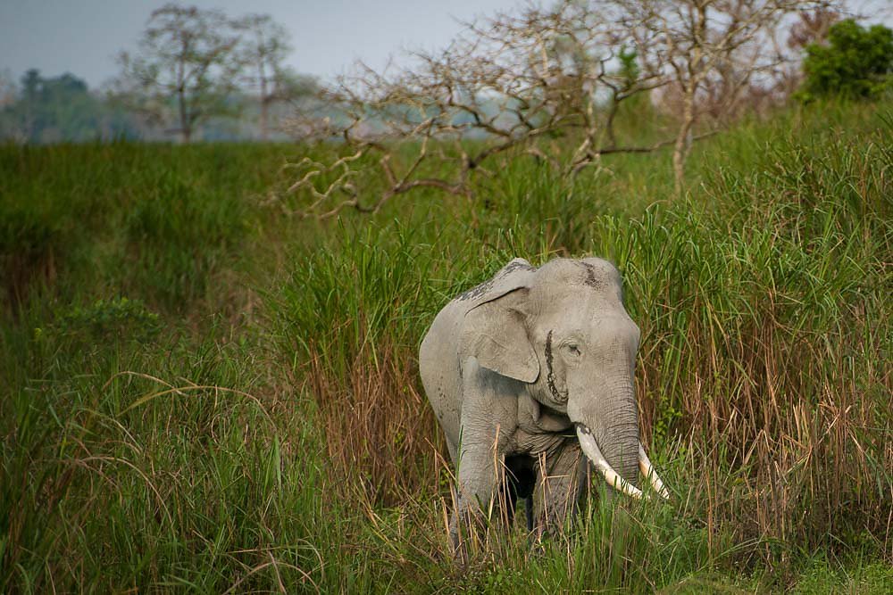 India-2016-47-of-70.jpg
