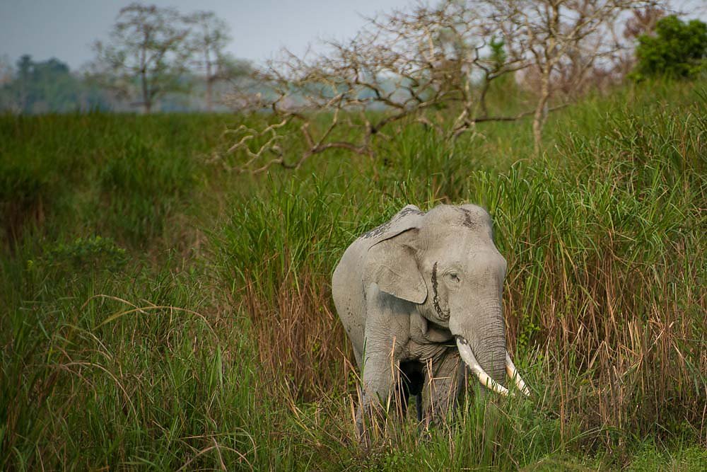 India-2016-47-of-70.jpg